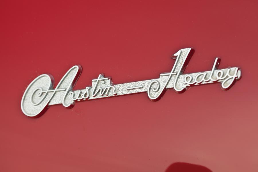 Логотип Austin-Healey 100-4 (BN2) 1956 года  (фото 14 из 19)